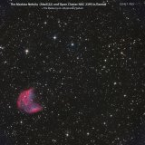 The Medusa Nebula